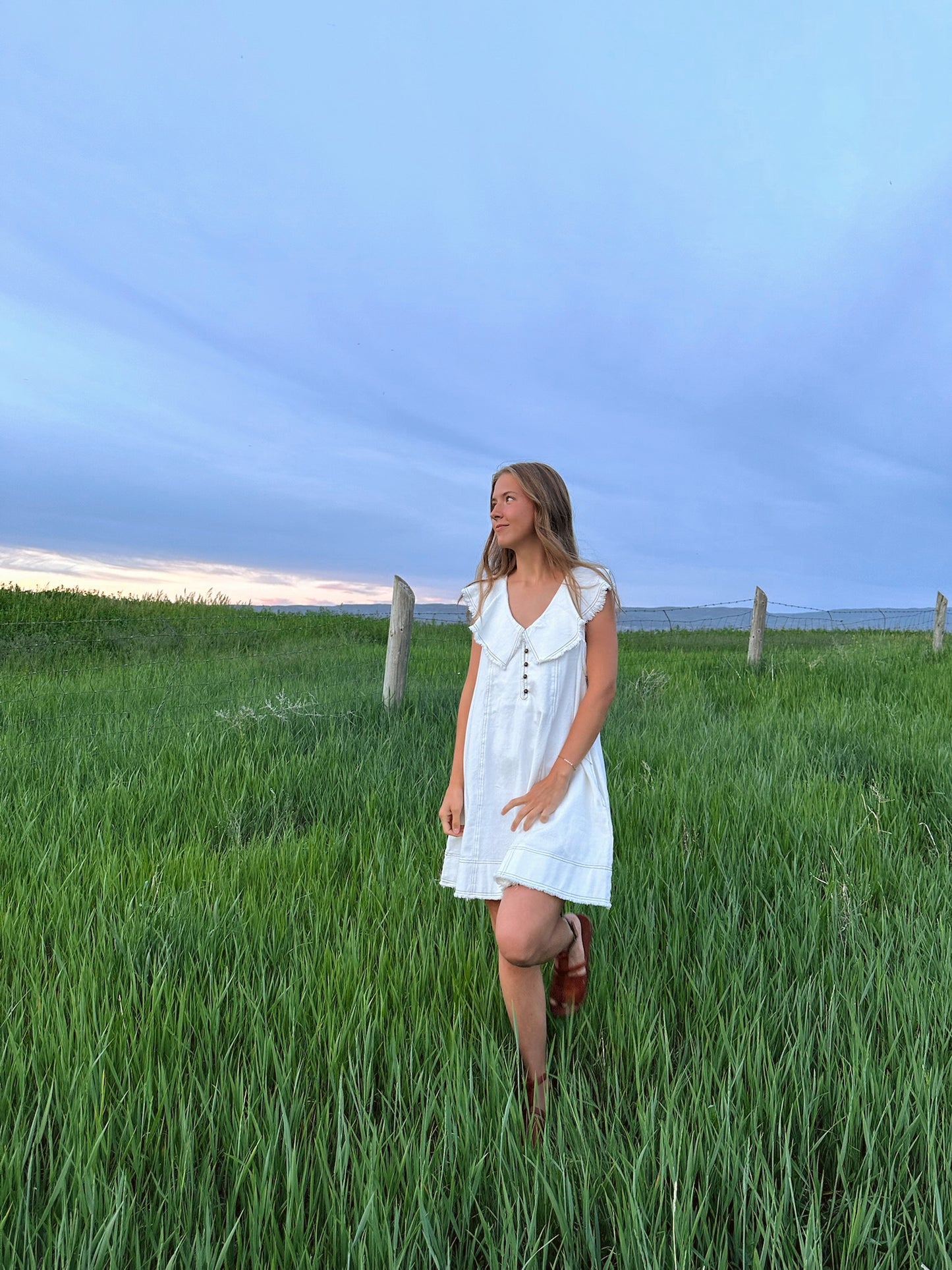 The Astrid Dress