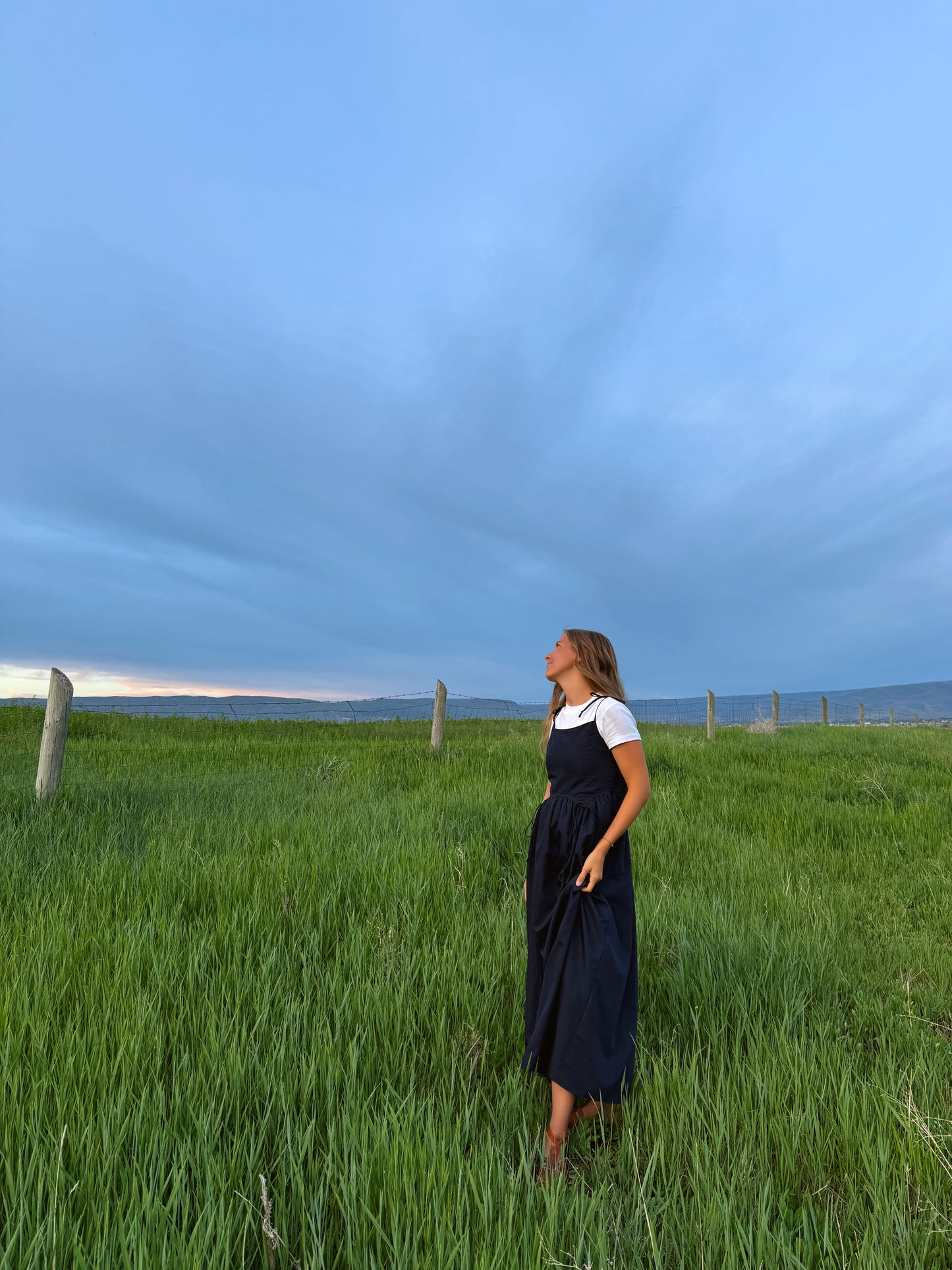 The Linnea Dress