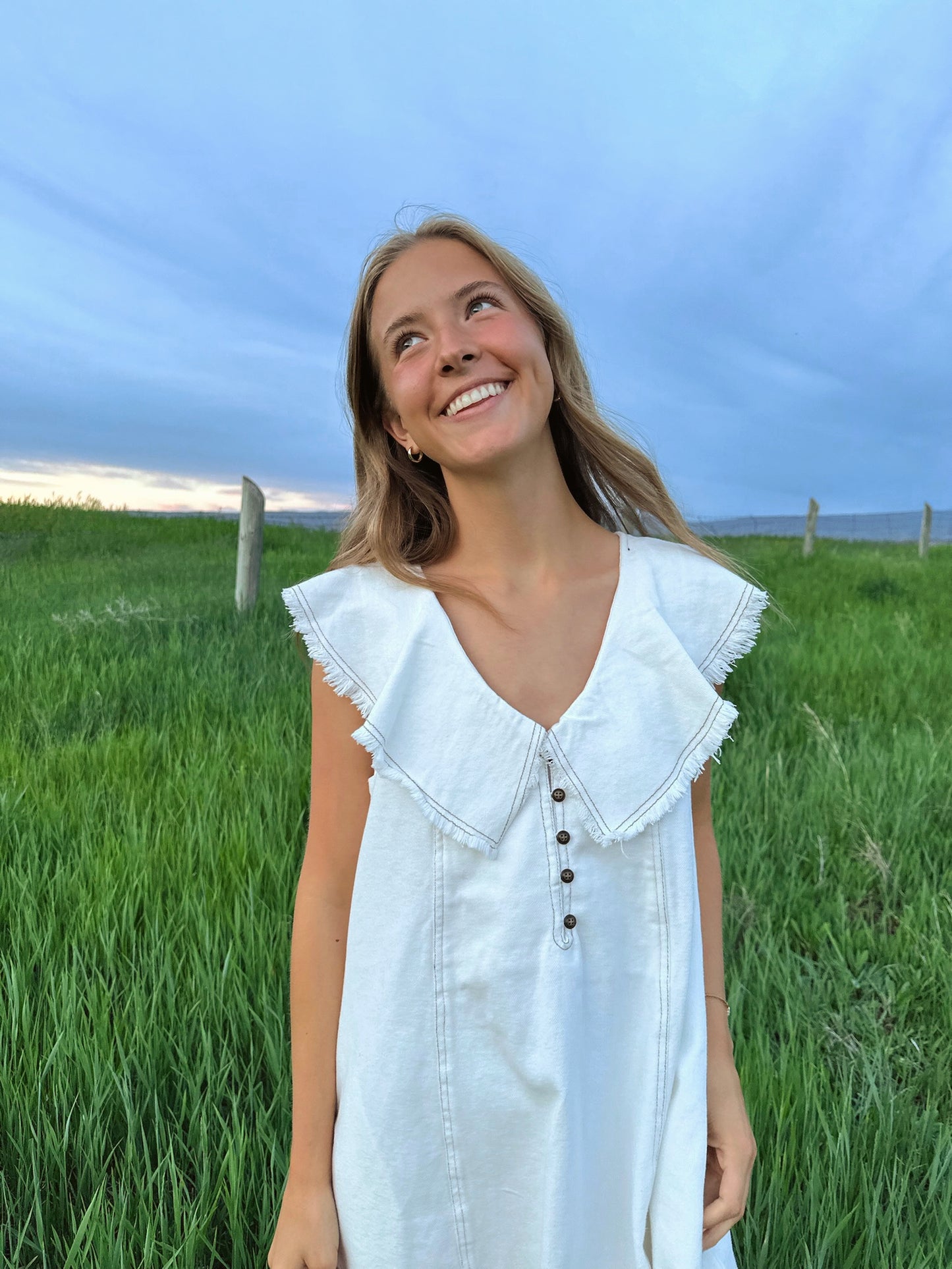 The Astrid Dress