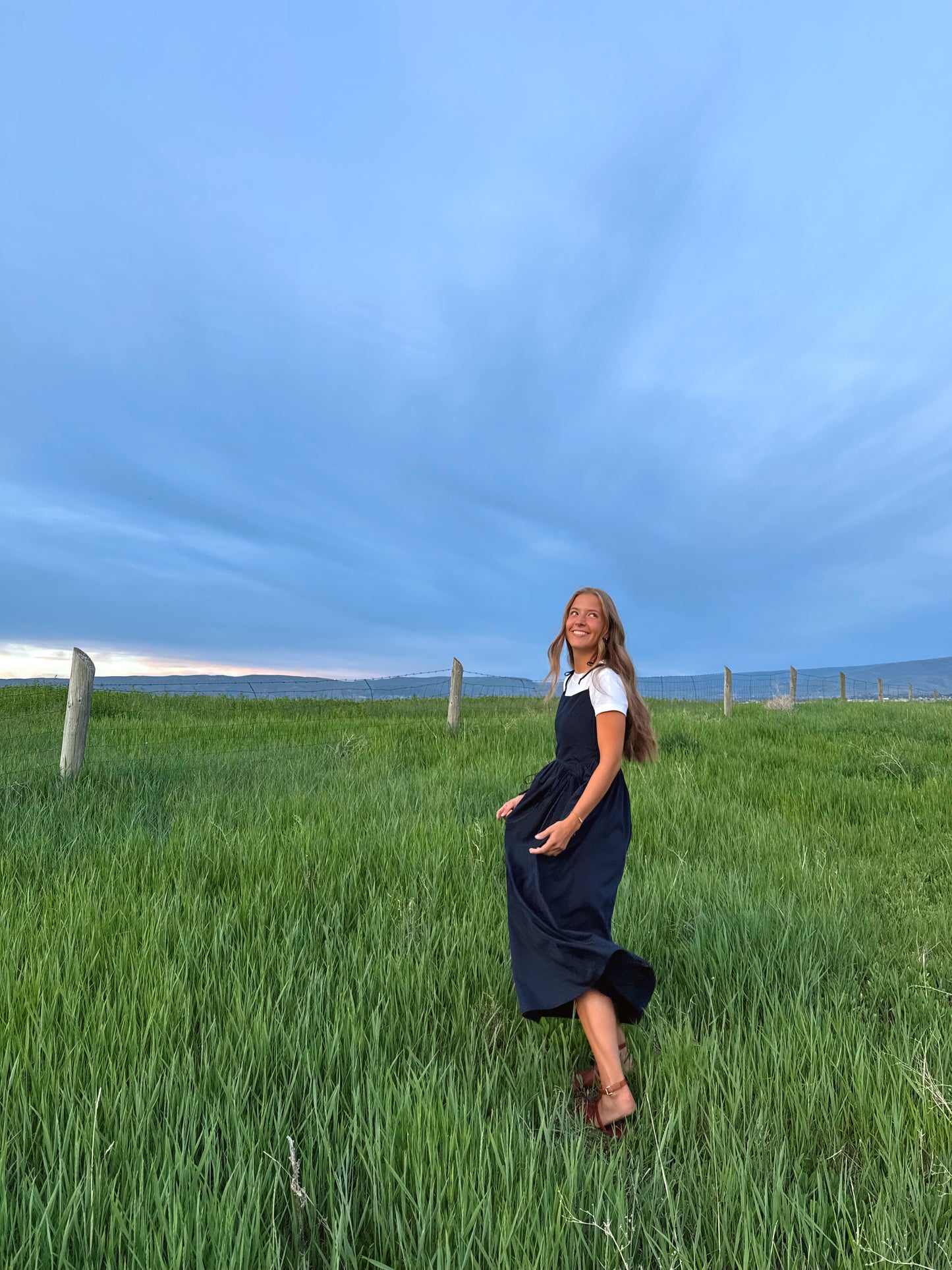 The Linnea Dress