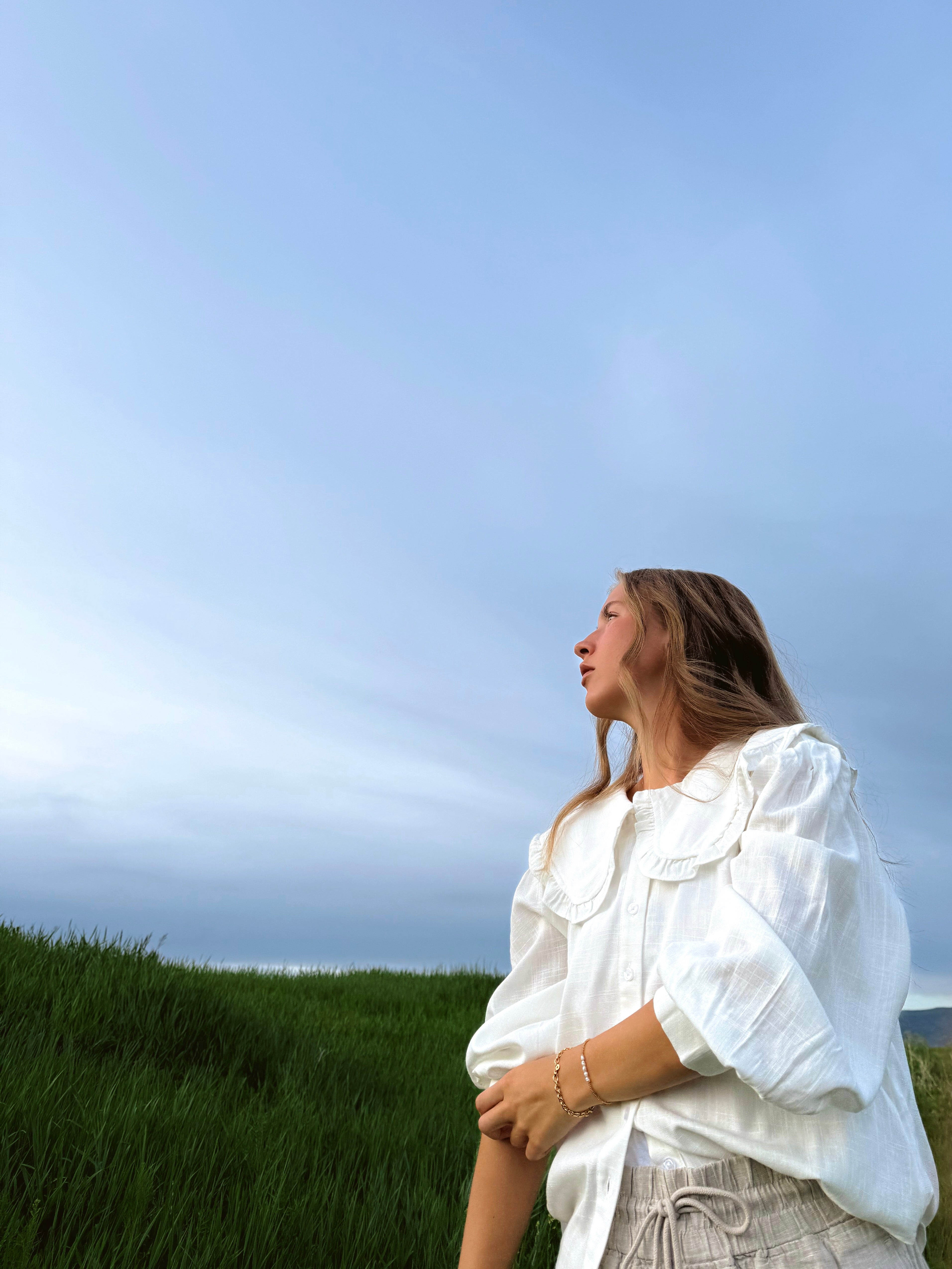 The Copenhagen Blouse